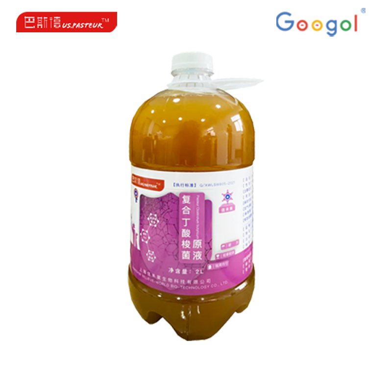 1686709501472419.png 复合丁酸梭菌.png