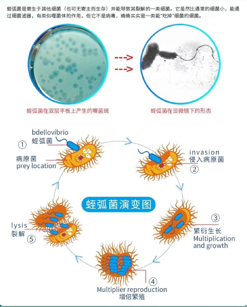 1696994103476319.png 图片 1.png