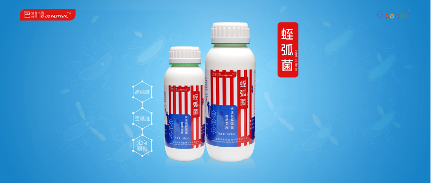 1696994157405114.png 图片 3.png