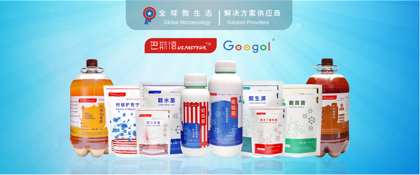 1696994225652562.png 图片 9.png